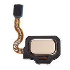 For S8 / Gold