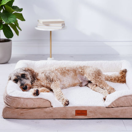 The Belgravia Orthopaedic Dog Sofa™ - Large