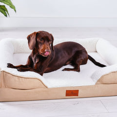 Collection image for: Premium Orthopaedic Dog Beds