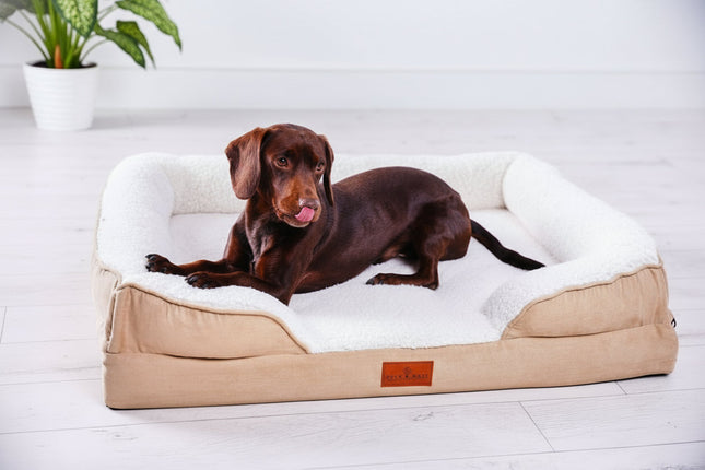 The Belgravia Orthopaedic Dog Sofa™ - Medium
