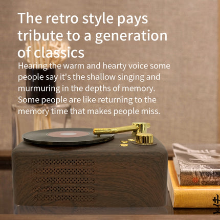 Retro Style Bluetooth Speaker, Built-in High-sensitivity FM Receiving Antenna, Long-term Voyage, T12 (Brown)