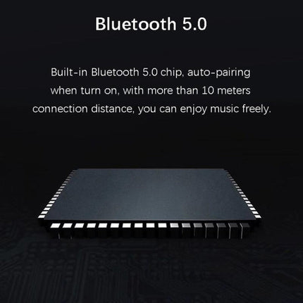 EWA A110 IPX5 Waterproof Portable Mini Metal Wireless Bluetooth Speaker Supports 3.5mm Audio & 32GB TF Card & Calls