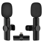 Dual Microphones