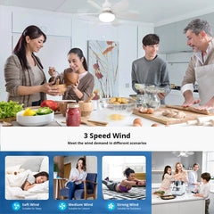 IRALAN Modern ceiling led light fan 52CM 42CM silent with remote control ceiling fan lamp for room office study kitchen