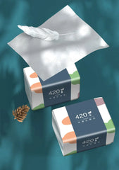 10 Packs Wholesale Eco Friendly Portable No Fluorescent Virgin Wooden Pulp Tissue Soft Comfortable 5 Ply Facial Tissue Paper