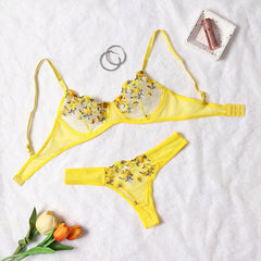 2-Pieces Fancy Sexy Lingerie Set Woman Semi-Sheer Women's Underwear Embroidery Beautiful Bra And Panty Sets Erotic Outfits