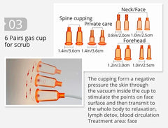 BBL Butt Lifting Colombien MachineVacuum Cup Massager Buttocks Enhancement Breast Enlargement Pumps Suction Therapy