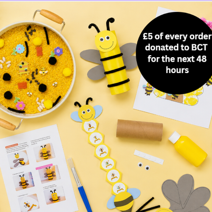 Bee Activity Kit