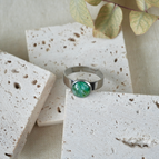 Earth Green / Silver