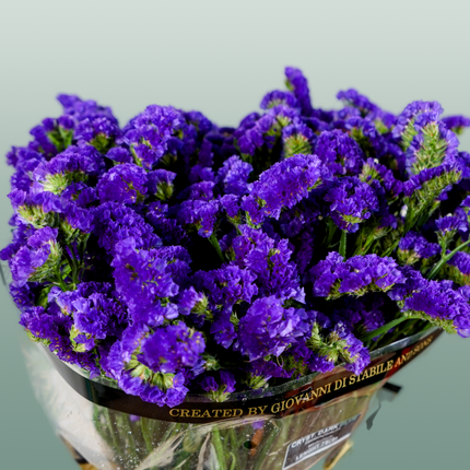 Limonium Statice Crystal Dark Blue (25 Stems)