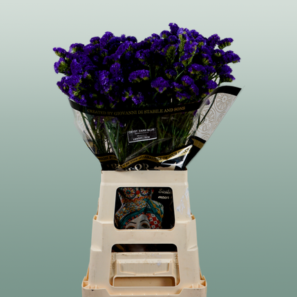 Limonium Statice Crystal Dark Blue (25 Stems)
