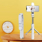 XT02S / White