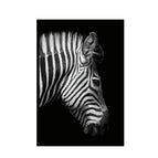 21X30cm / Zebra Head