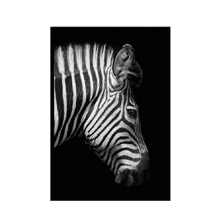 Simple Black and White Animal Decoration Painting Study Living Room Sofa Background Wall Painting Without Frame, 21X30cm, 30X40cm, 40X50cm, 40X60cm