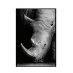 30X40cm / Rhinoceros