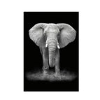 30X40cm / Elephant