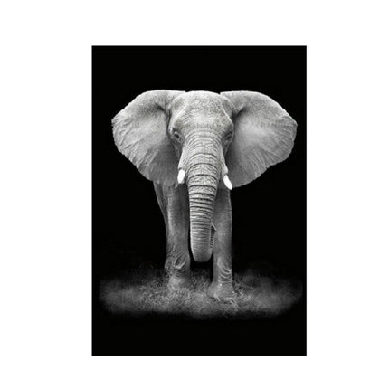 Simple Black and White Animal Decoration Painting Study Living Room Sofa Background Wall Painting Without Frame, 21X30cm, 30X40cm, 40X50cm, 40X60cm