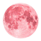 20cm Pink Moon