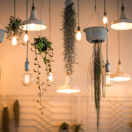 E27 40W Retro Edison Light Bulb Filament Vintage Ampoule Incandescent Bulb, AC 220V, A19 Spirai, G80 Spirai, G80 Filament, G95 Spirai, G95 Filament, ST64 Spirai, ST64 Christmas tree, ST64 Filament, T10 Filament, T185 Filament, T45 Spirai, T45 Filament