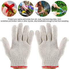 11 PCS / Set Gardening Plant Seedling Cultivation Tools, Plant Seedling Cultivation Tools