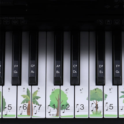 M52 88/76/61/54/49 Keys Piano Keyboard Stickers