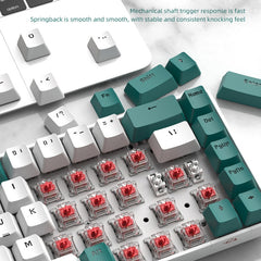 ZIYOU LANG T8 68 Keys RGB Gaming Mechanical Keyboard, Cable Length: 1.5m, Style:, T8 Micro Light Version Green Shaft