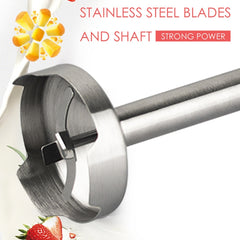 RAF 600W 2-blade Juicer Cooking Stick Stirring Rod  Blender Mixer,EU Plug, R.315