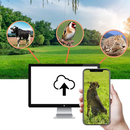 4K 4G Outdoor Track Camera Remote Mobile Phone Control To View Photos / Video At Any Time, HC-940Pro-Li