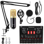 BM800+V8S Sound Card Set