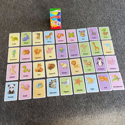 36pcs /Box Children Enlightenment Early Learning English Word Cards, C1 Animal, C2 Shape, C3 Color, C4 Time, C5 Fruit, C6 Body Part, C7 Vegetable, C8 Food And Drink