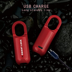 Smart USB Charging Bag Fingerprint Padlock Furniture Backpack Lock