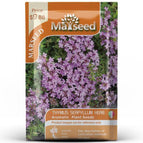 Thyme