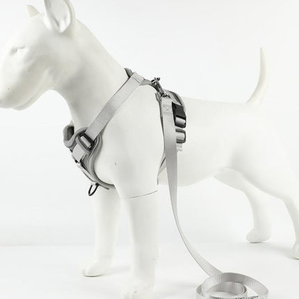 Reflective Pet Harness & Leash Set Escape-Proof Breathable Dog Vest Harness, S, M, L, XL