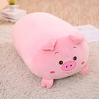 60cm / pig