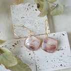 Tortoise Shell
