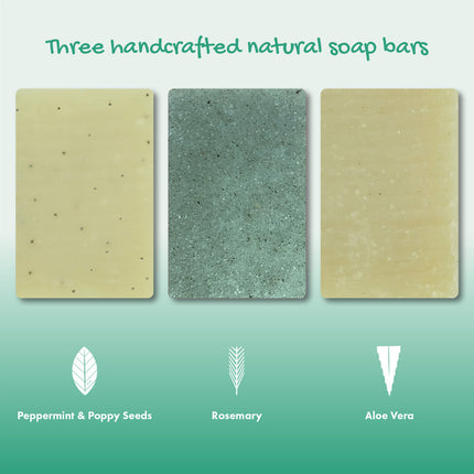 Trio Gift Set - Peppermint & Poppy Seeds, Rosemary, Aloe Vera
