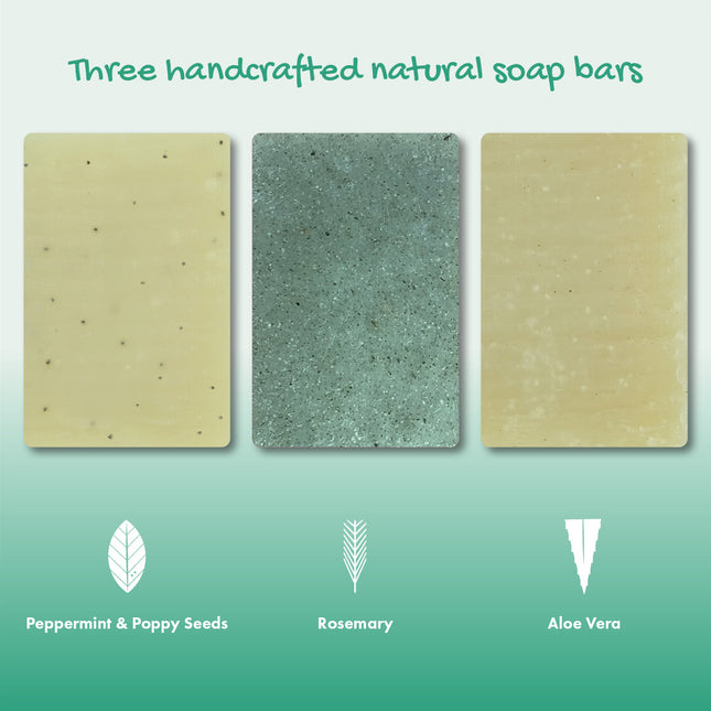 Trio Gift Set - Peppermint & Poppy Seeds, Rosemary, Aloe Vera