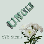 Uncle