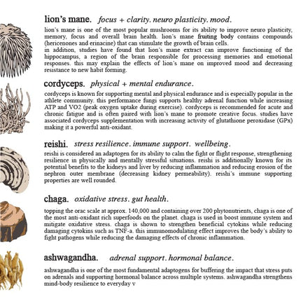 Adaptogen & Mushroom Cacao – Organic Cacao with Mushroom Extracts