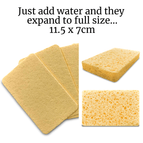 Compostable Sponges x 5