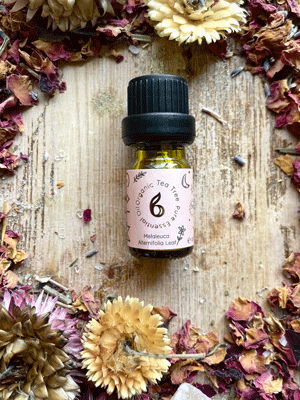 Full Set of 8 Organic Essential Oils – Stress, Energy & Sleep Support + FREE Lavender Oil