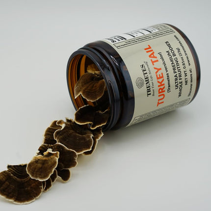 Turkey Tail Mushroom Fruiting Body – Lab-Verified 41.2% Beta-Glucans for Tea | Amber Glass Jar