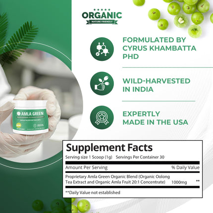 Amla Green: 20x Concentrated Amla Powder + Decaf Green Tea | Organic, Vegan, 90 Servings