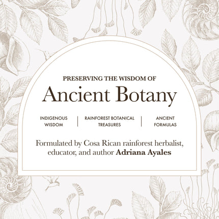 Anima Mundi Apothecary Vegan Collagen Booster Powder – Dirty Rose Chai
