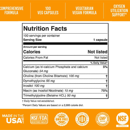 Apricot Power Super B-15 Pangamic Acid – Non-Toxic B-15, 100 Veg Caps