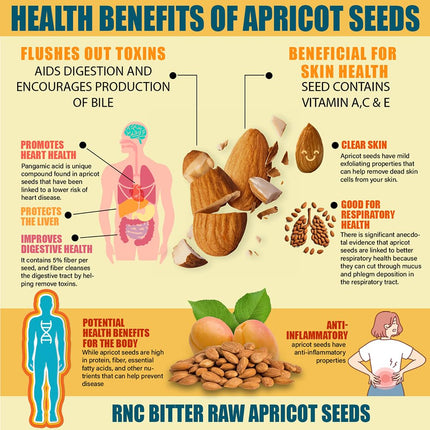 Richardson Nutritional Center Fresh Raw Bitter Apricot Seeds (2 lb) — California Grown, Lab Tested, Vegan, Gluten & GMO Free