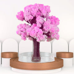 Magic Sakura Tree