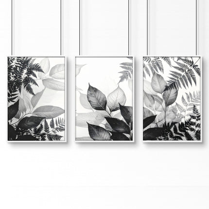 Art In Frames | Set of 3 Botanical Wall art Prints