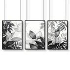 Black Frame / A4 8.27 x 11.69 in / 21 x 29.7 cm / Satin Photo Paper 280 gsm