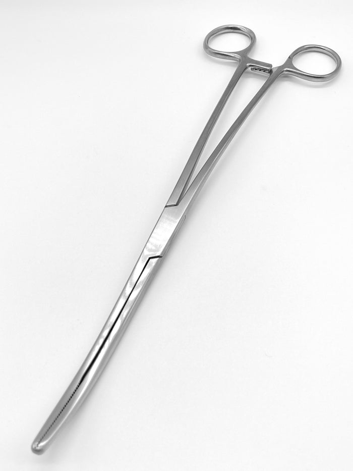 Bozeman Forceps Curved 26cm - Surgical Instruments